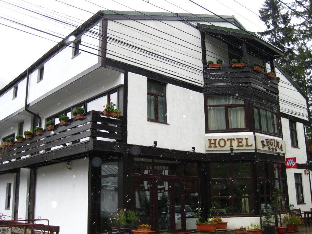 Hotel Regina シナヤ エクステリア 写真